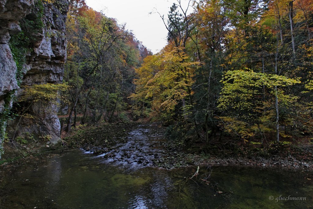 20101030_300